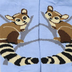 Cacomixtle (Tines)