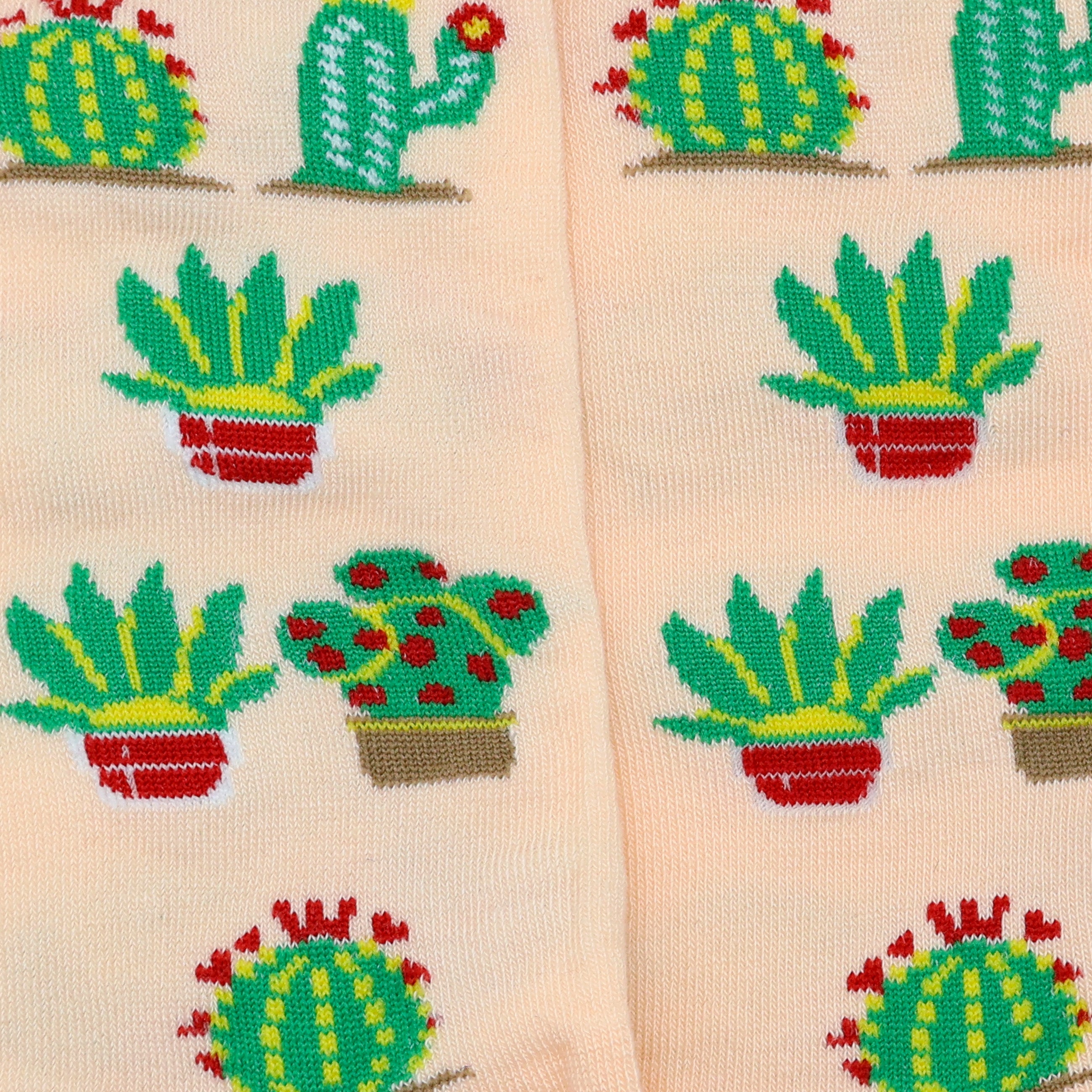 Cactaceas