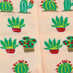 Cactaceas