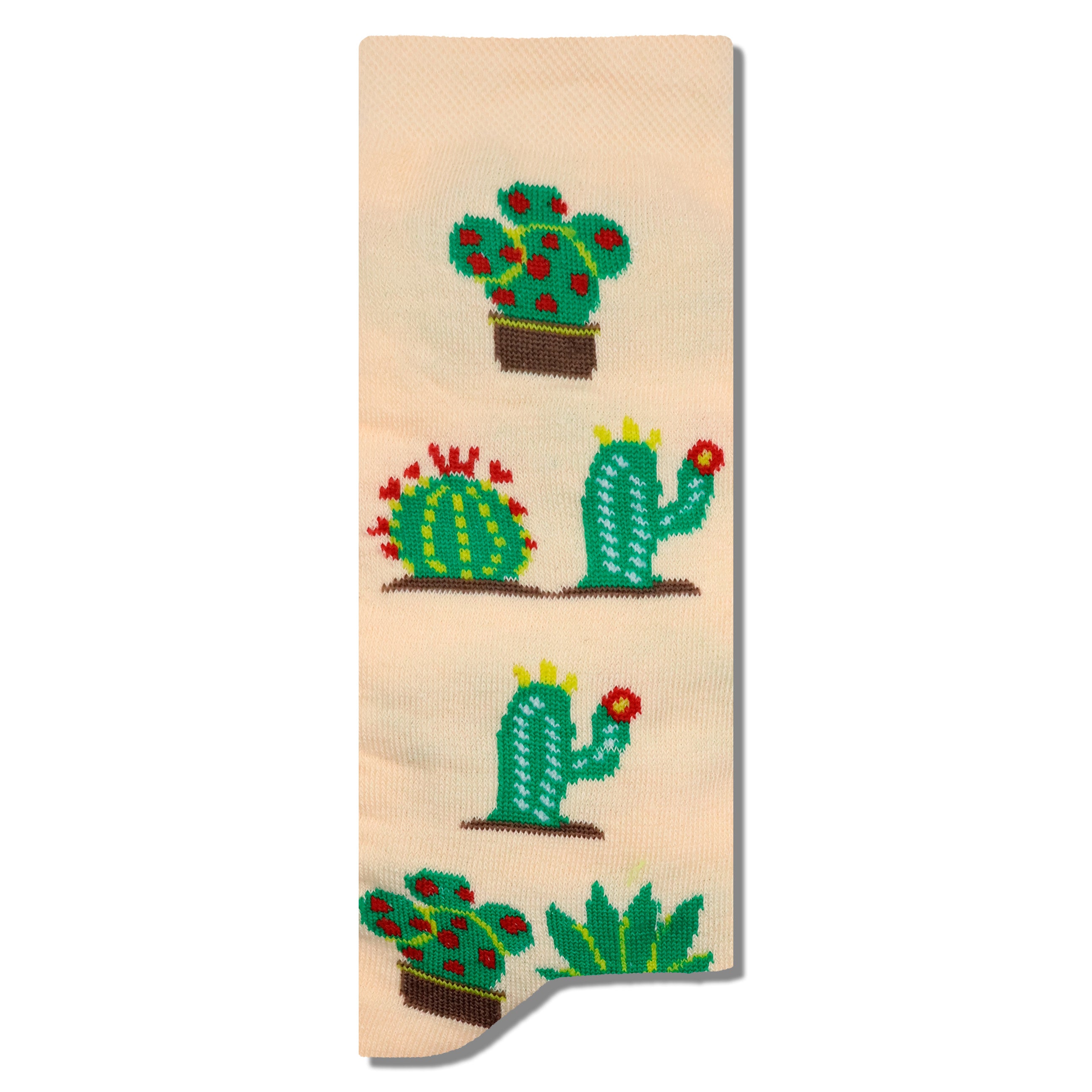 Cactaceas
