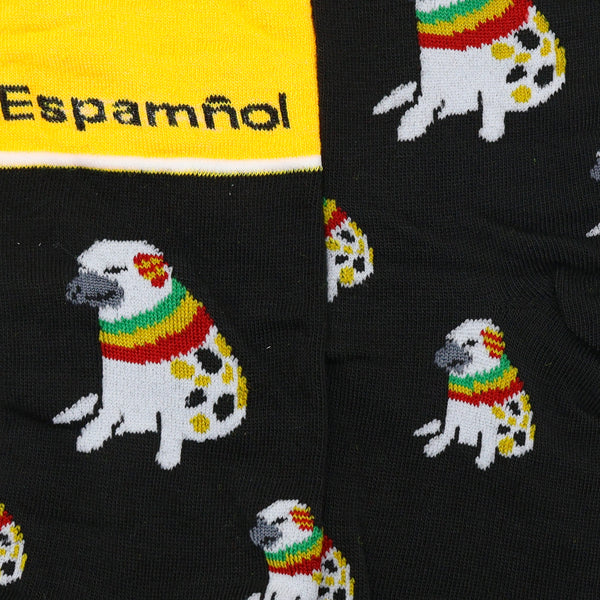 Libro de Espamñol