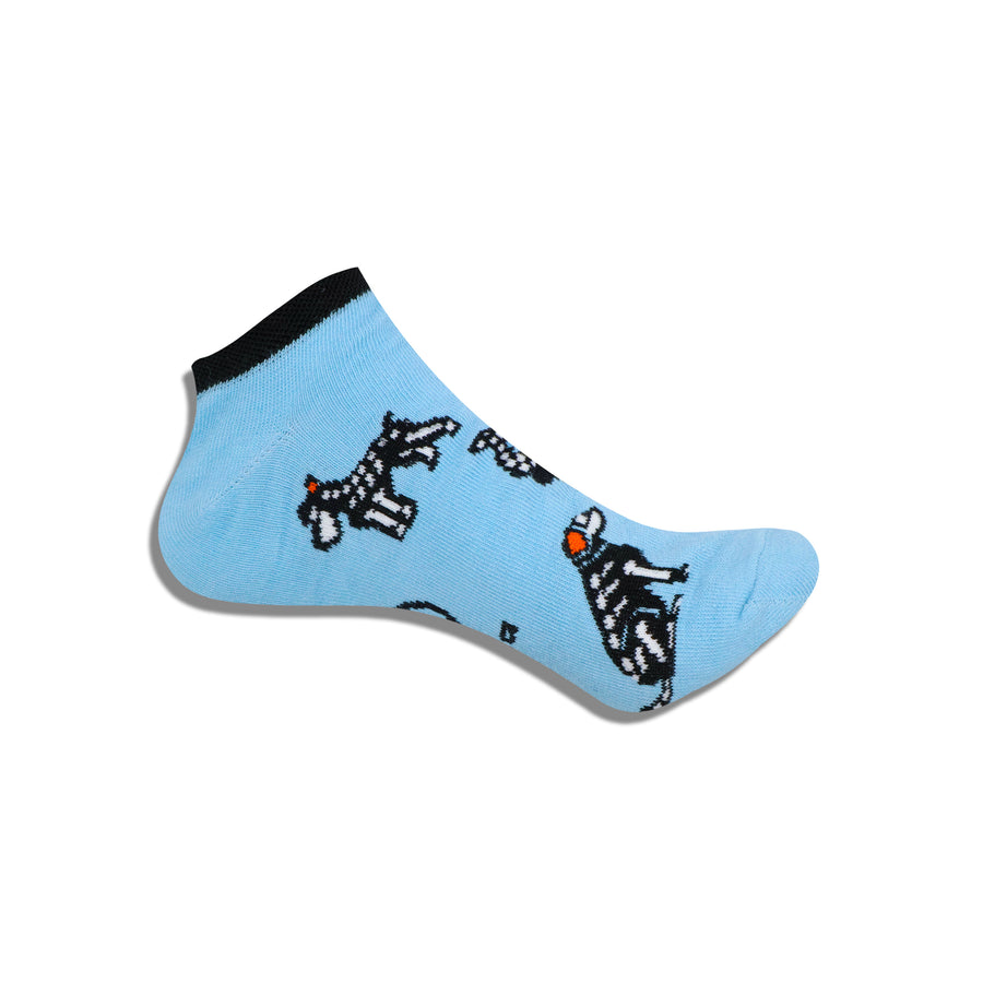 Mascotas calaveras (Tines)
