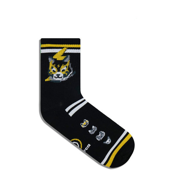 Gatito Luchas, Amarillo