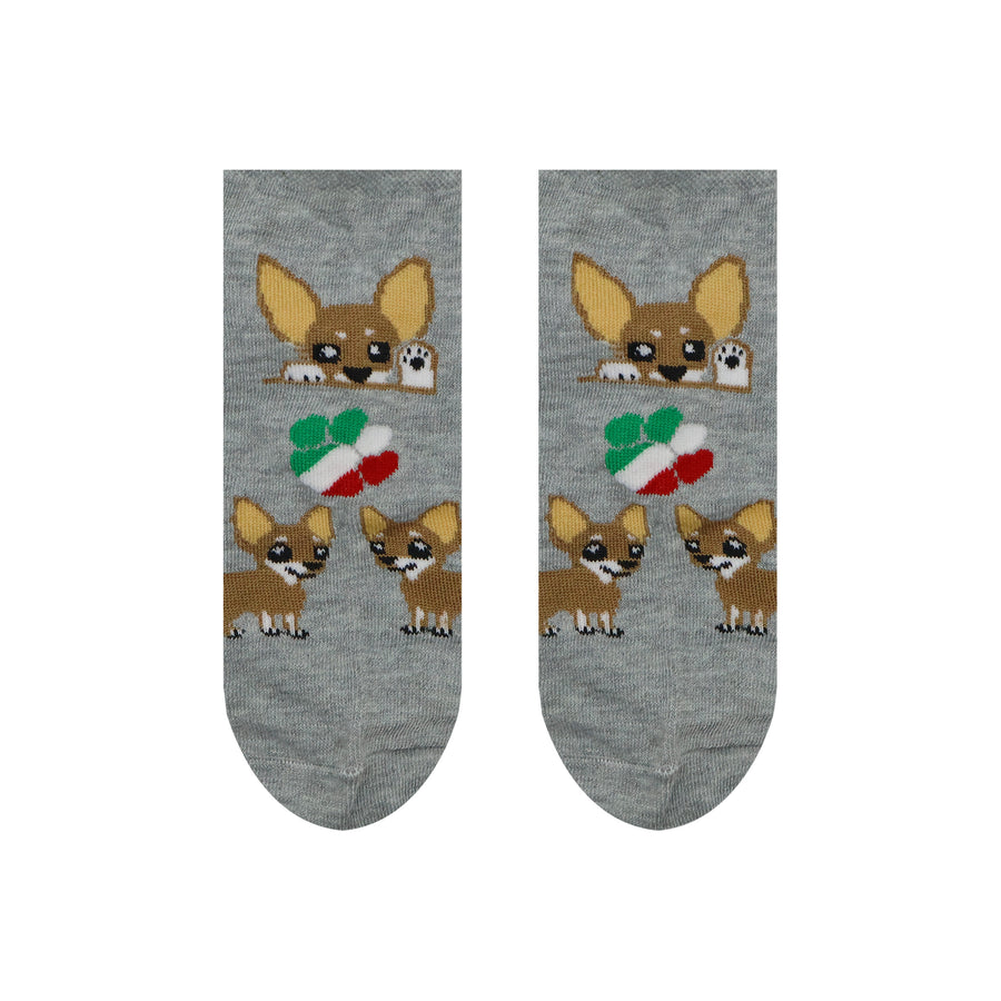 Perrito Chihuahua (Tines)