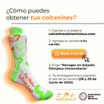 Aquí nadie se rinde 3