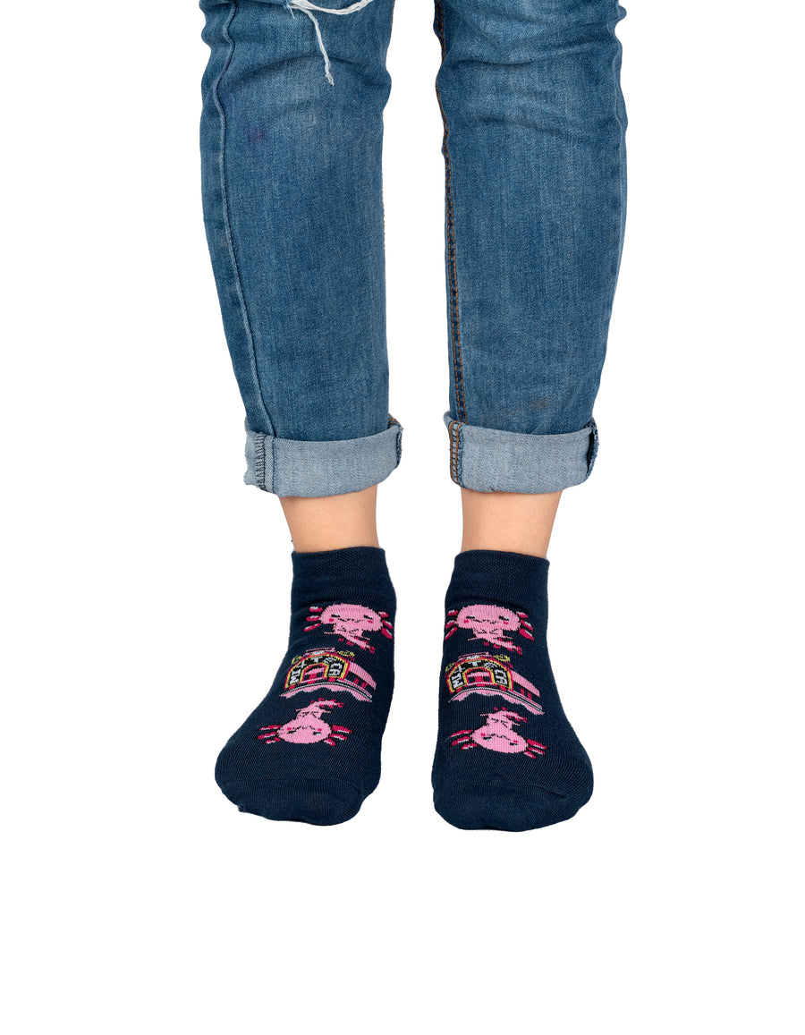 Ajolotes y trajineras (Tines)