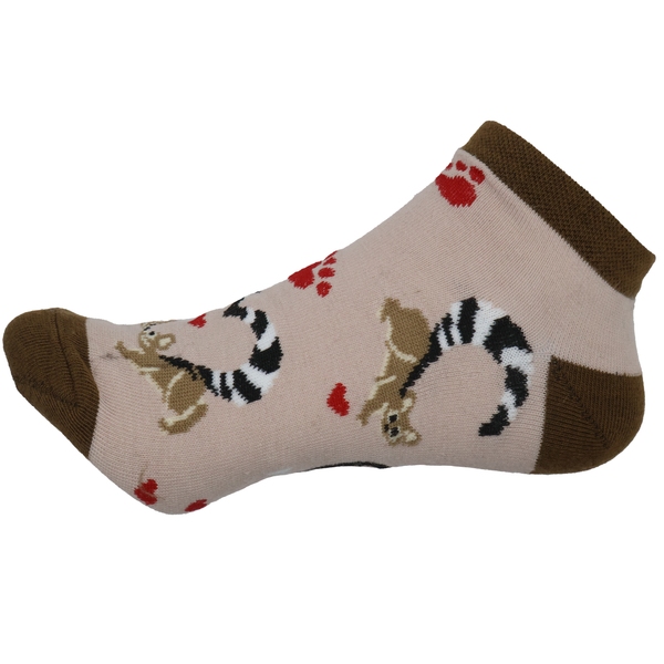 Corazones de cacomixtle (Tines) 2
