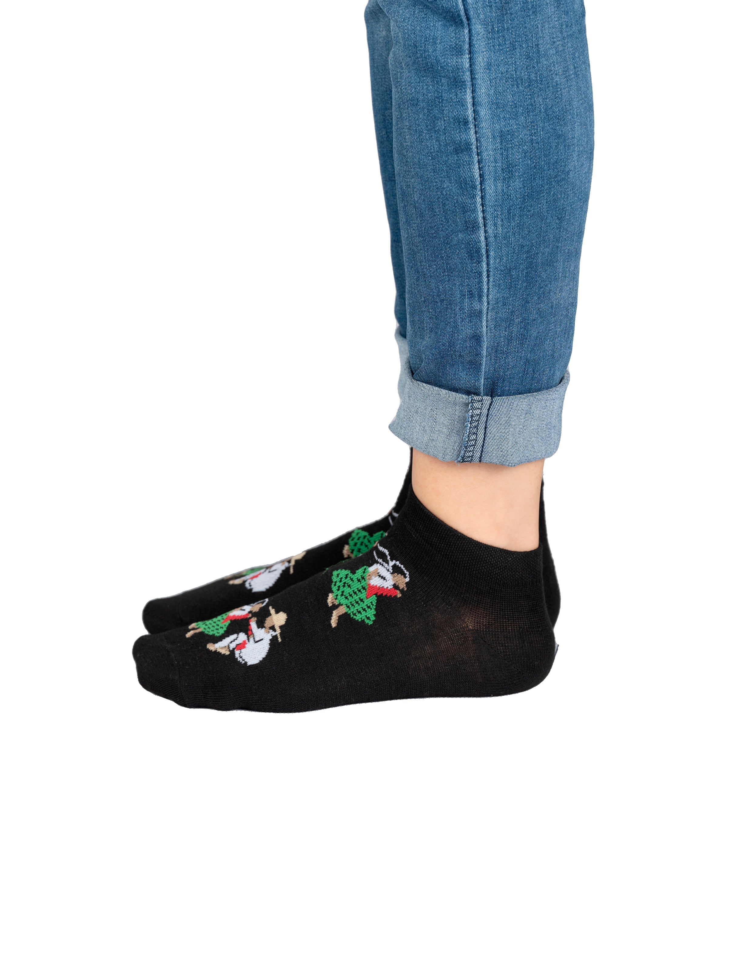 Palomo Miahuateco (Miahuatlán) (Tines) 4