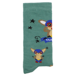Chihuahua Luchador