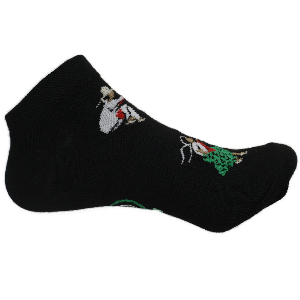 Palomo Miahuateco (Miahuatlán) (Tines) 2