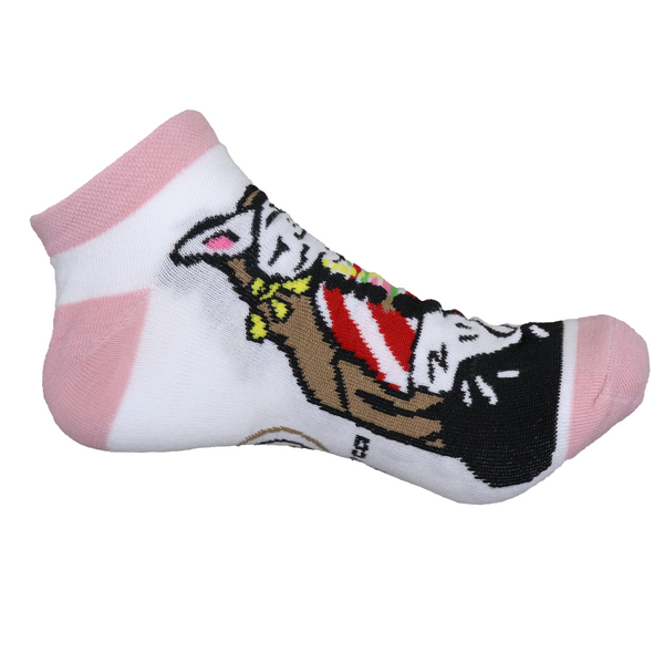 Gatita Mixteca (Tines) 2