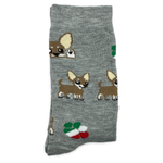 Chihuahuas