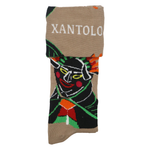 Xantolo 4