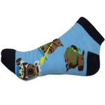Capibara (Tines) 2