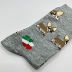 Chihuahuas 4
