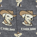 Perrito Chalino
